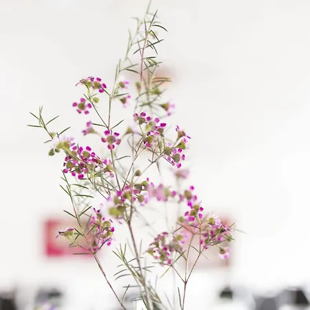 Bredal Kro 3* Bredal