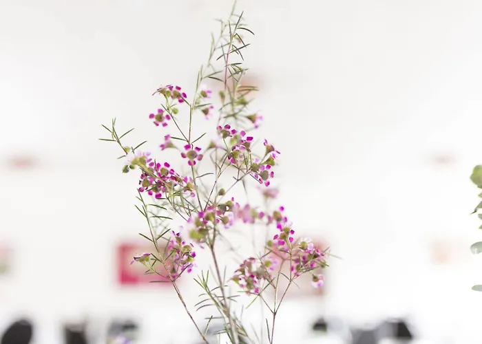 Bredal Kro 3* Bredal